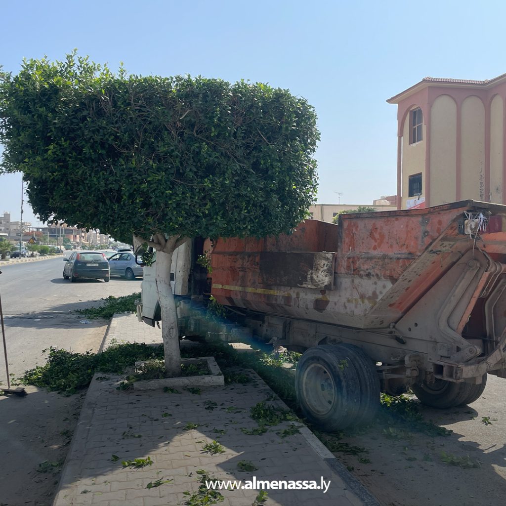 extra1 131 قسم الحدائق والمنتزهات يباشر أعمال تقليم الأشجار في العجيلات استعدادًا للصيف