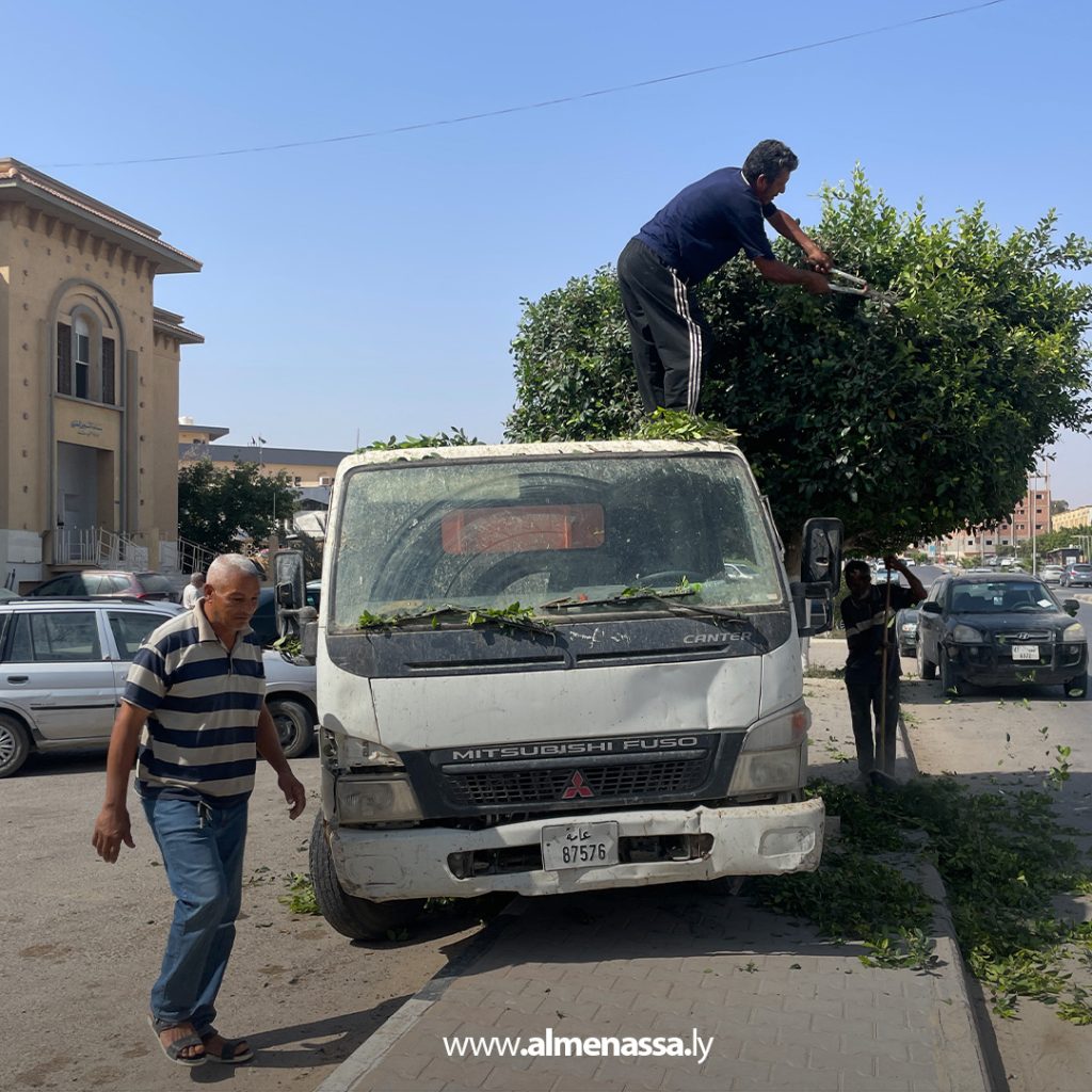 extra11 90 قسم الحدائق والمنتزهات يباشر أعمال تقليم الأشجار في العجيلات استعدادًا للصيف
