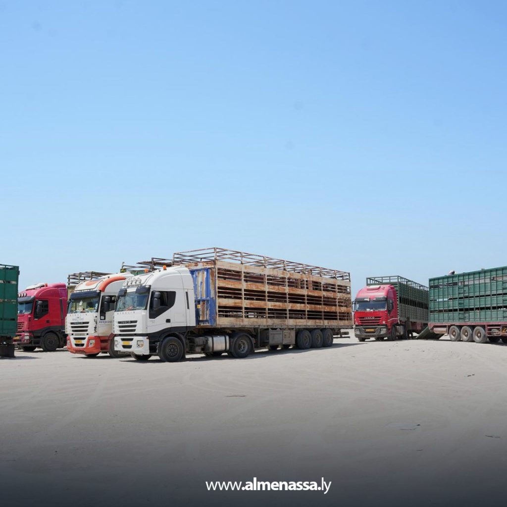 extra111 9 رغم وصول شحنات الأضاحي المدعومة من الحكومة الليبية.. غلاء المواشي يتصدر مواقع التواصل الاجتماعي