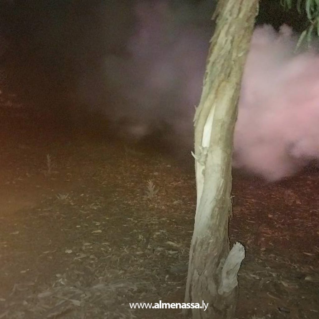 extra1111111 15 بلدية الأصابعة تطلق حملة موسعة لمكافحة حشرات الجراد في محلة الضوه