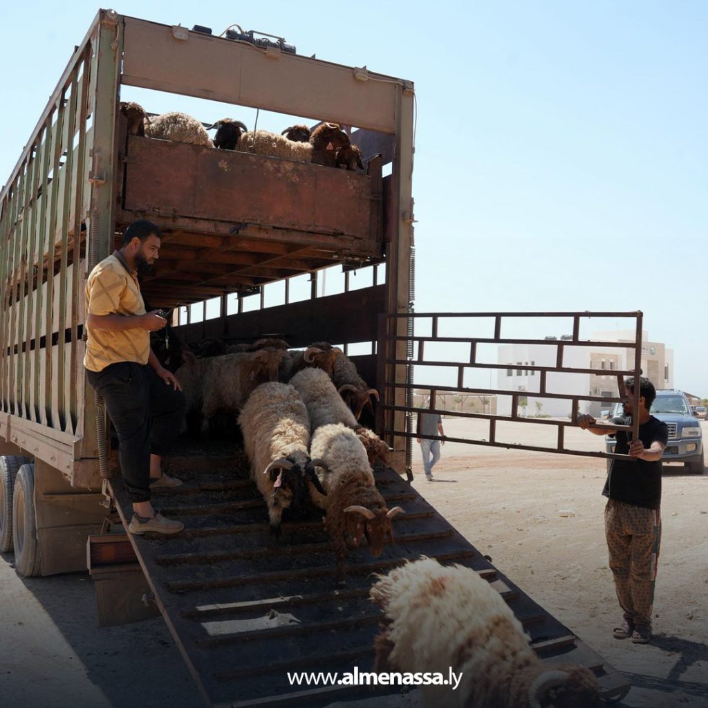 extra11111111111 4 رغم وصول شحنات الأضاحي المدعومة من الحكومة الليبية.. غلاء المواشي يتصدر مواقع التواصل الاجتماعي