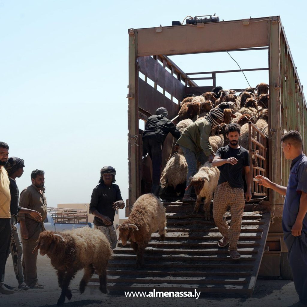 extra111111111111 رغم وصول شحنات الأضاحي المدعومة من الحكومة الليبية.. غلاء المواشي يتصدر مواقع التواصل الاجتماعي