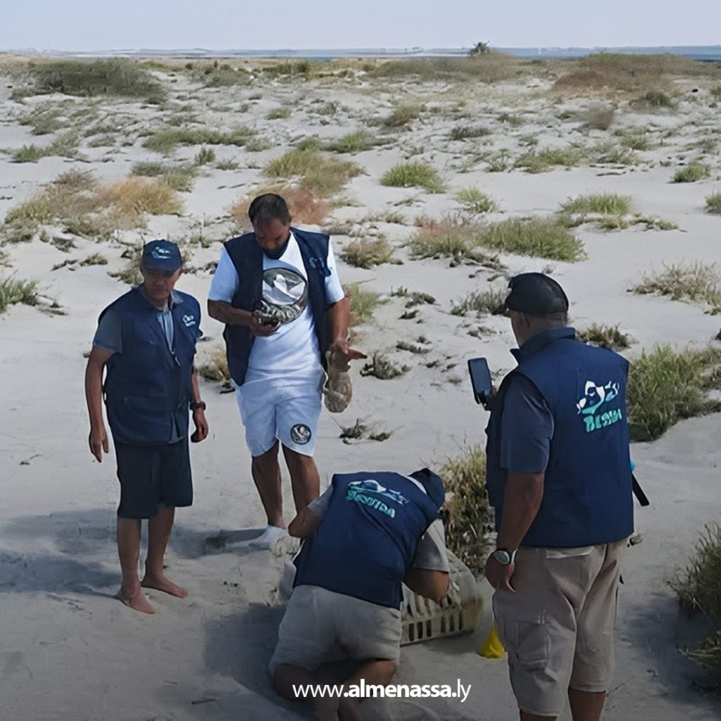 extra21 جمعية بيسيدا البيئية لحماية جزيرة وبحيرة "فروة" تطلق مجموعة من الارانب البريّة