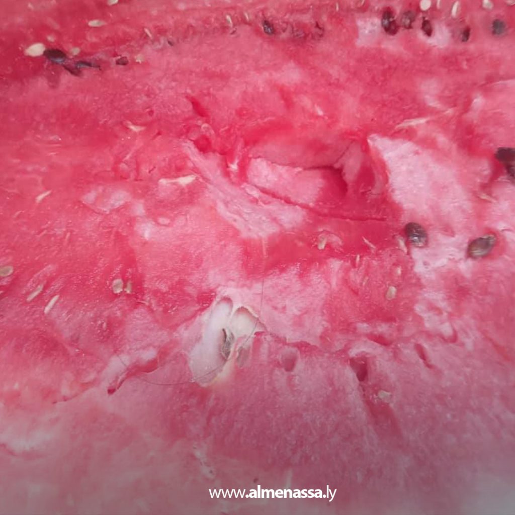 extraءءءءءء ضبط كميات كبيرة من البطيخ والدلاع غير صالح للاستهلاك البشري في أجدابيا