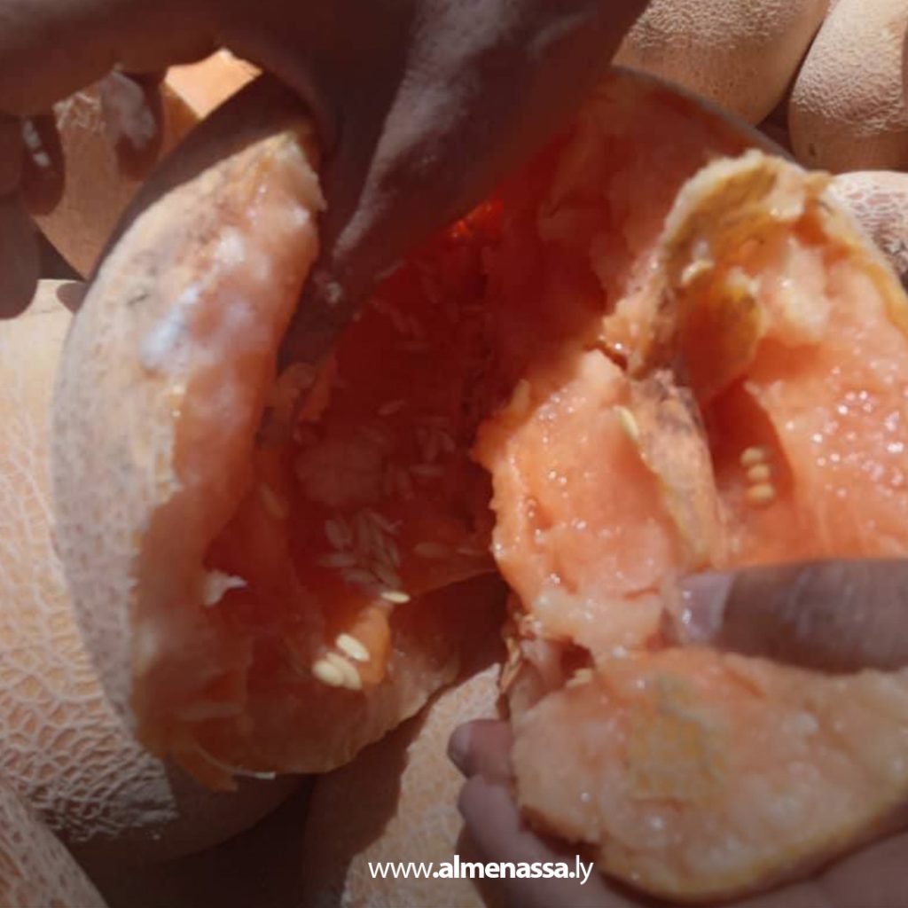 extraءءءءءءءء ضبط كميات كبيرة من البطيخ والدلاع غير صالح للاستهلاك البشري في أجدابيا