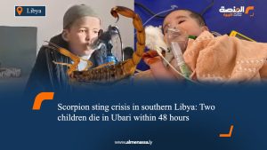 Scorpion sting crisis in southern Libya: Two children die in Ubari within 48 hours