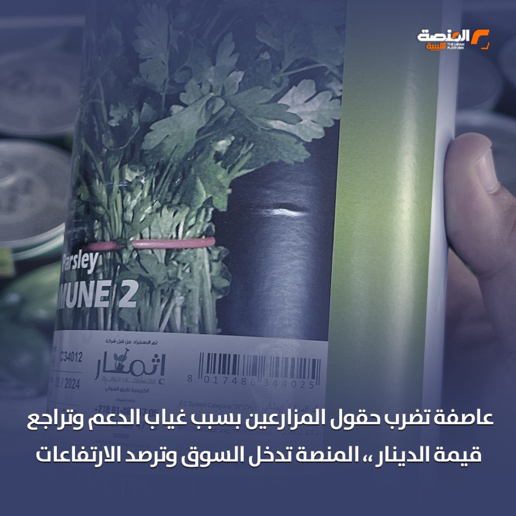 خاص المنصة: ارتفاع أسعار بذور الخضروات والفواكه بنسبة تصل إلى 50% وبعض أنواع الأسمدة إلى 70% 1 02 copy 6