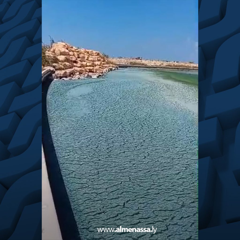 Extra 244 أهالي أزواوة يشكون من تسرب مياه الصرف الصحي في البحيرة المجاورة للحي