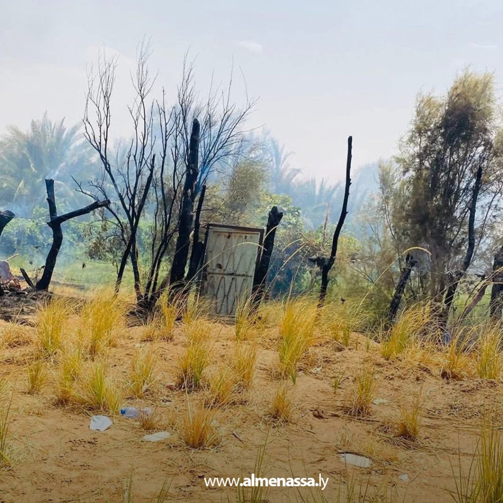 Extra1111 59 تصاعد حرائق الغابات ومزارع النخيل في جنوب ليبيا وسط تحذيرات من تغيّرات مناخية ومطالب بتعزيز الاستجابة