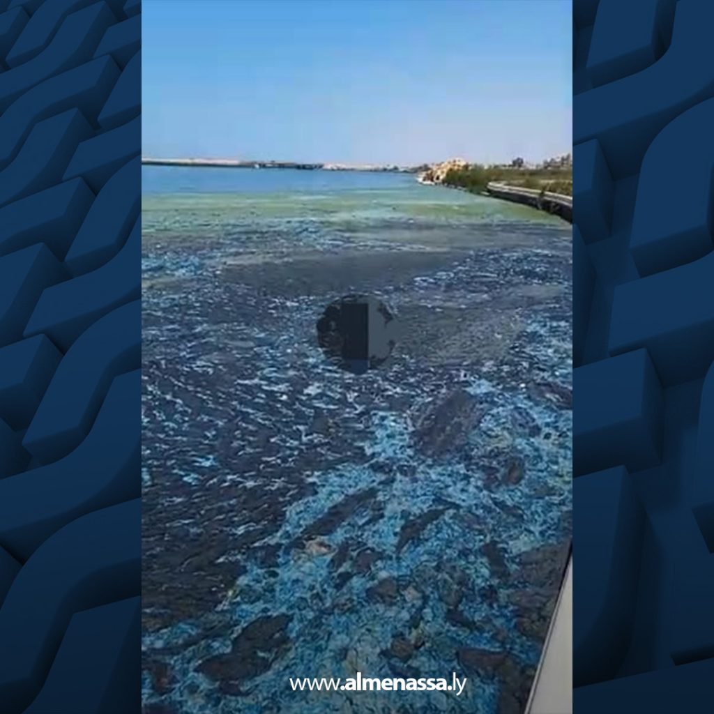 Extra11111 52 أهالي أزواوة يشكون من تسرب مياه الصرف الصحي في البحيرة المجاورة للحي