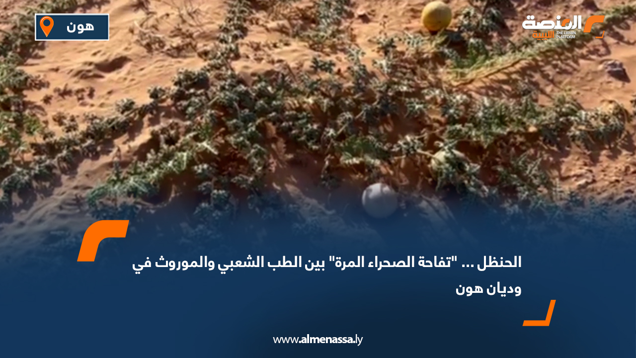 الحنظل... "تفاحة الصحراء المرة" بين الطب الشعبي والموروث في وديان هون