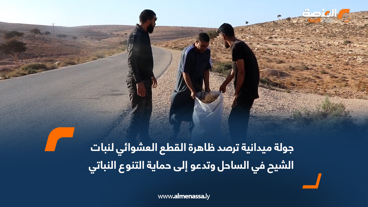 جولة ميدانية ترصد ظاهرة القطع العشوائي لنبات الشيح في الساحل وتدعو إلى حماية التنوع النباتي