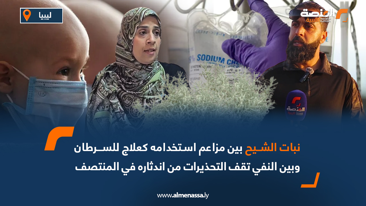 نبات الشيح بين مزاعم استخدامه كعلاج للسرطان وبين النفي تقف التحذيرات من اندثاره في المنتصف