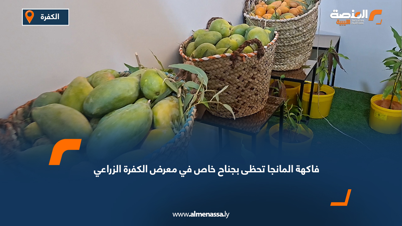 فاكهة المانجا تحظى بجناح خاص في معرض الكفرة الزراعي