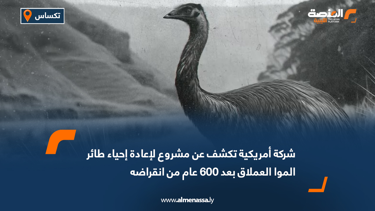 شركة أمريكية تكشف عن مشروع لإعادة إحياء طائر الموا العملاق بعد 600 عام من انقراضه
