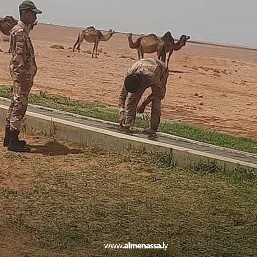 Extra 56 إزالة 18 وصلة مياه غير شرعية على خط النهر الصناعي