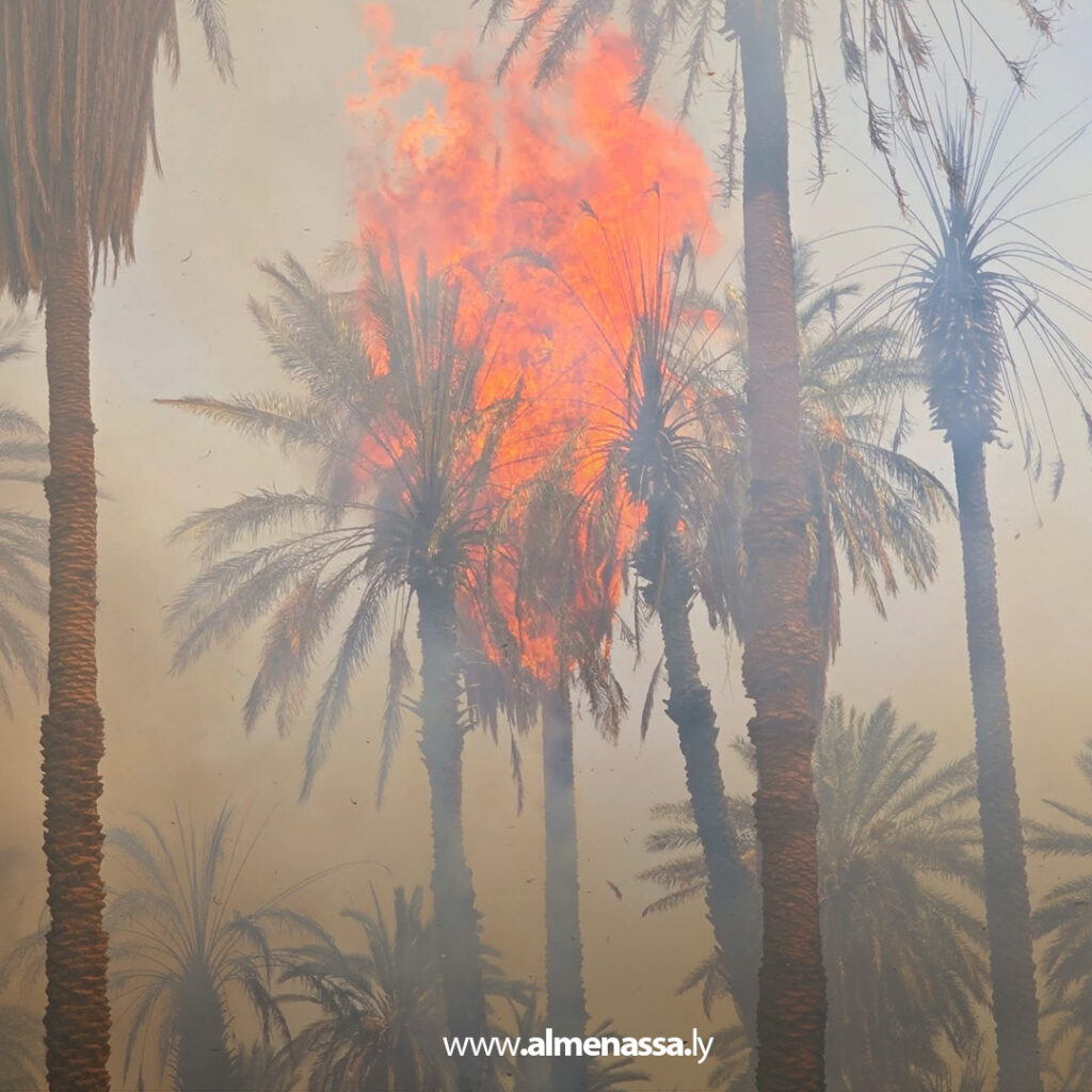 Extra1 121 السيطرة على حريق محدود في مزارع نخيل بمنطقة البطوح في غدامس