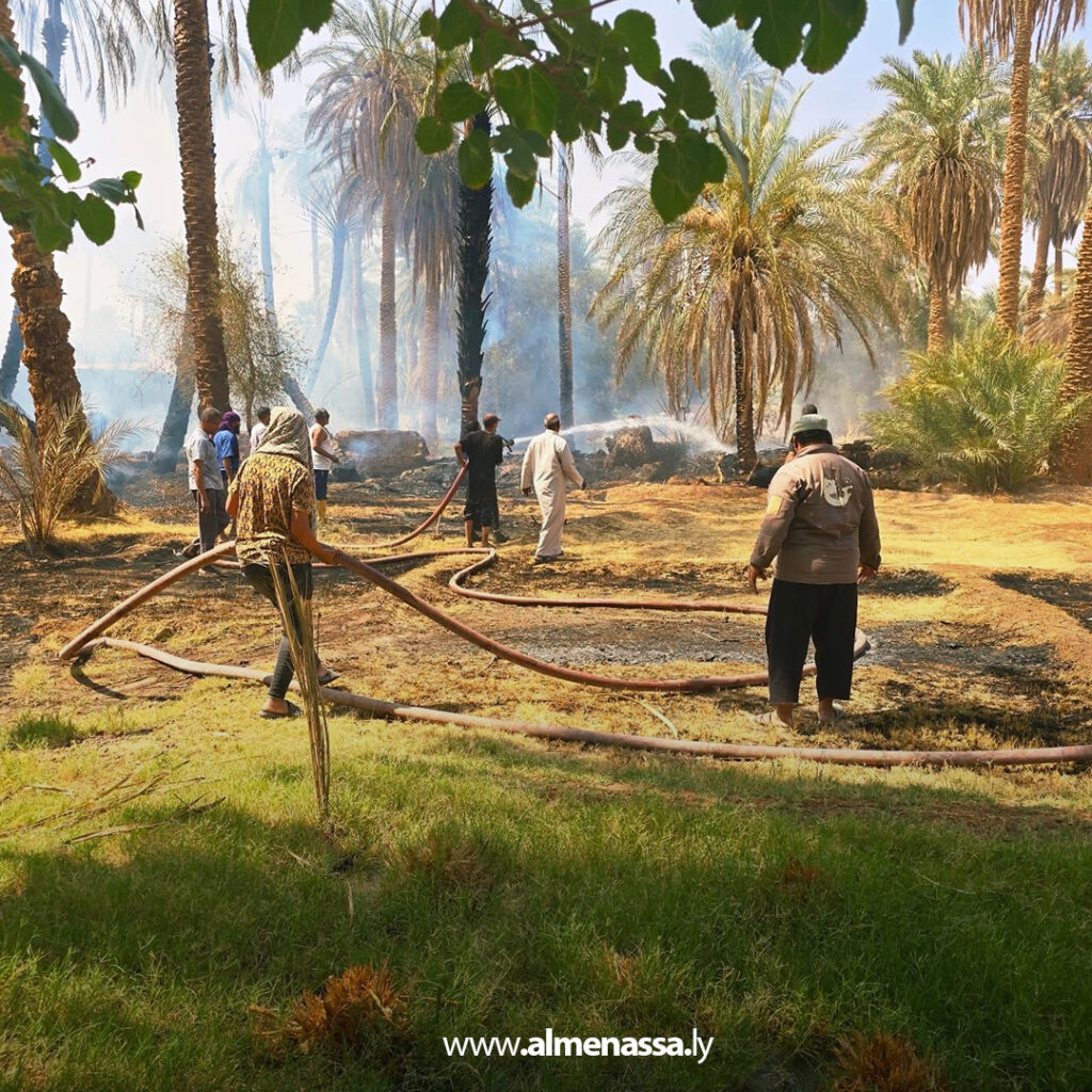 Extra111 49 السيطرة على حريق محدود في مزارع نخيل بمنطقة البطوح في غدامس