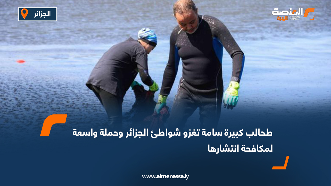 طحالب كبيرة سامة تغزو شواطئ الجزائر وحملة واسعة لمكافحة انتشارها