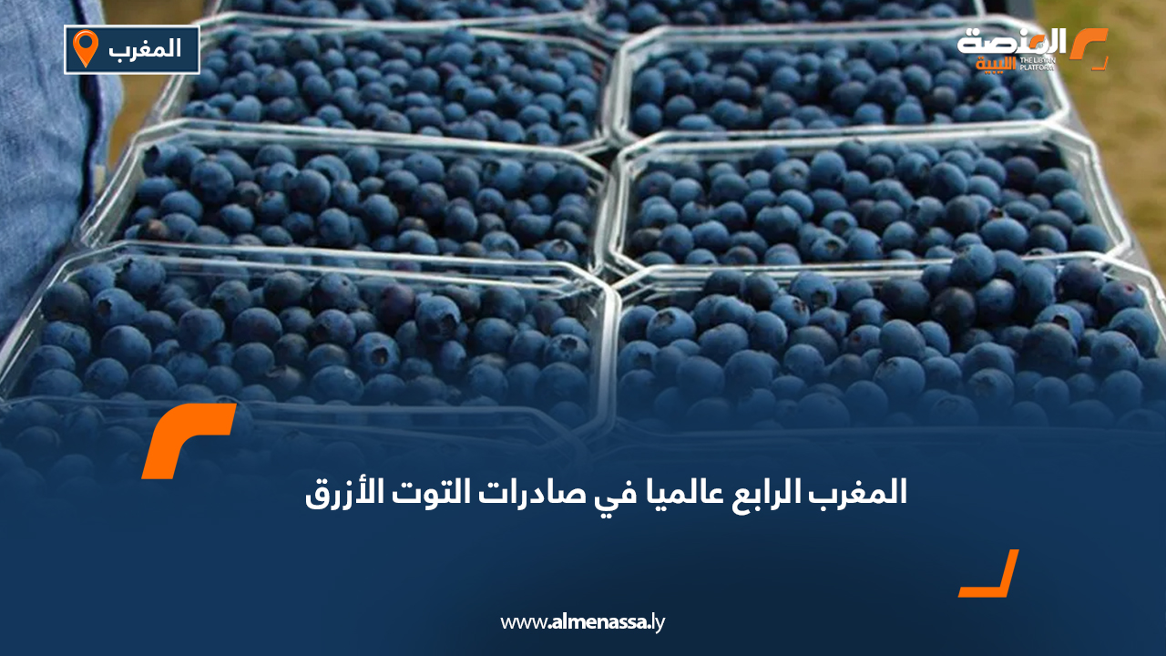 المغرب الرابع عالمياً في صادرات التوت الأزرق
