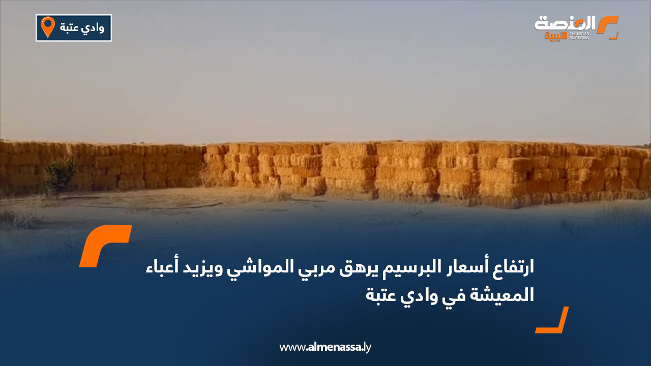 ارتفاع أسعار البرسيم يرهق مربي المواشي ويزيد أعباء المعيشة في وادي عتبة