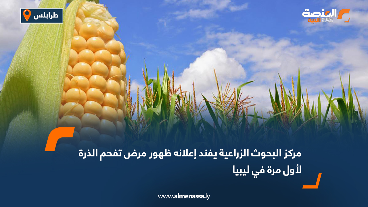 مركز البحوث الزراعية يفند إعلانه ظهور مرض تفحم الذرة لأول مرة في ليبيا