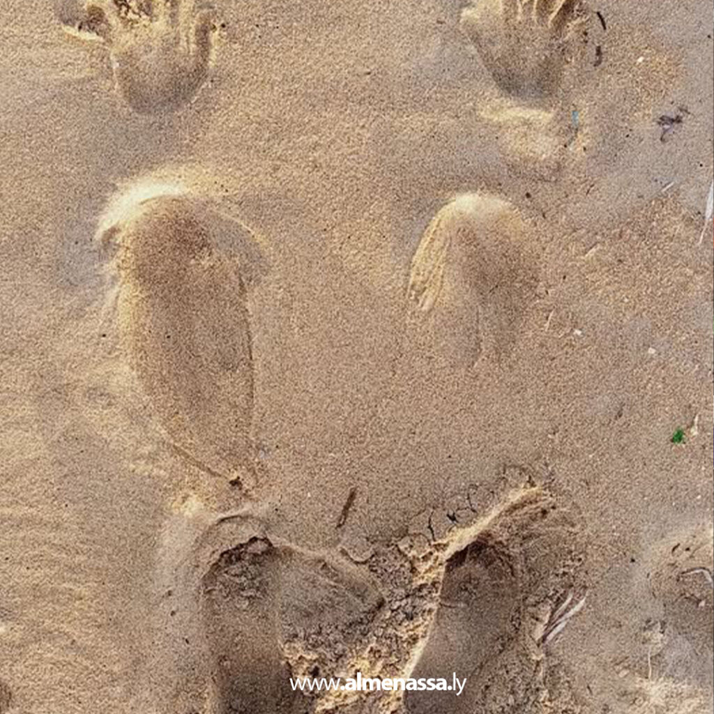 فنان يهيم في سورة البحر بلوحات للسلام والحب 32 Extra .jpg18