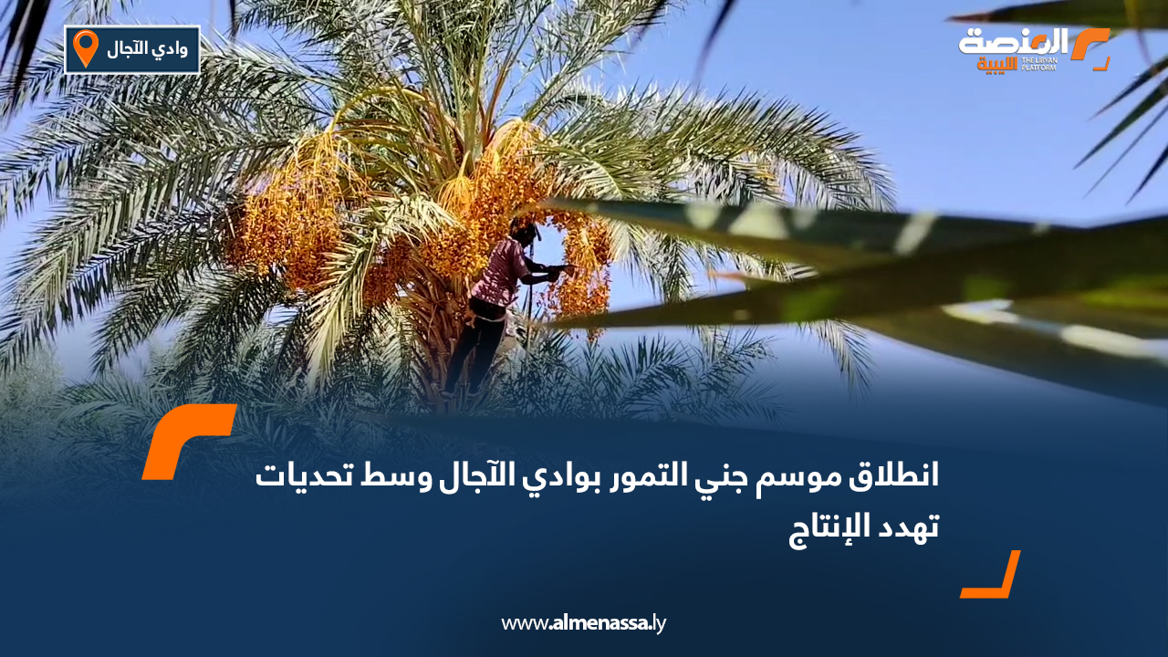 انطلاق موسم جني التمور بوادي الآجال وسط تحديات تهدد الإنتاج