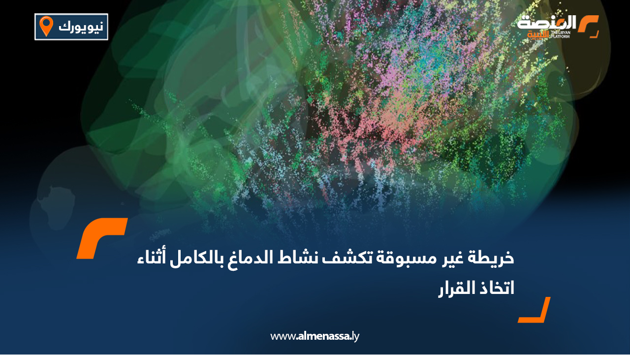 خريطة غير مسبوقة تكشف نشاط الدماغ بالكامل أثناء اتخاذ القرار