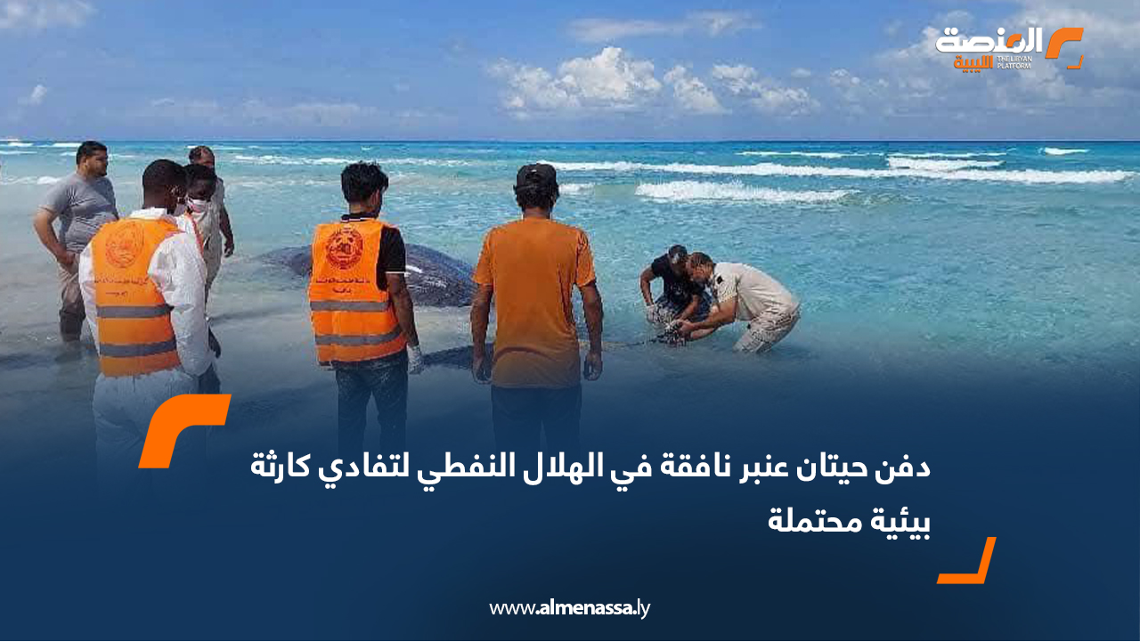 دفن حيتان عنبر نافقة في الهلال النفطي لتفادي كارثة بيئية محتملة