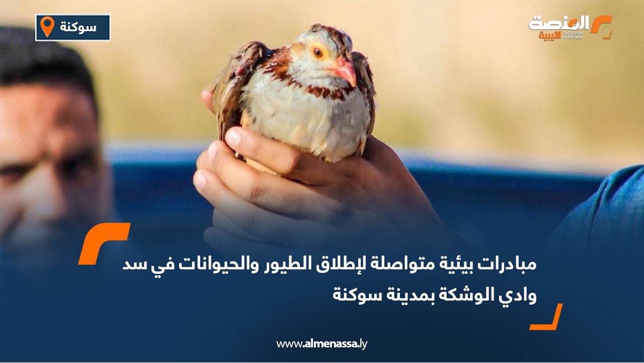 مبادرات بيئية متواصلة لإطلاق الطيور والحيوانات في سد وادي الوشكة بمدينة سوكنة