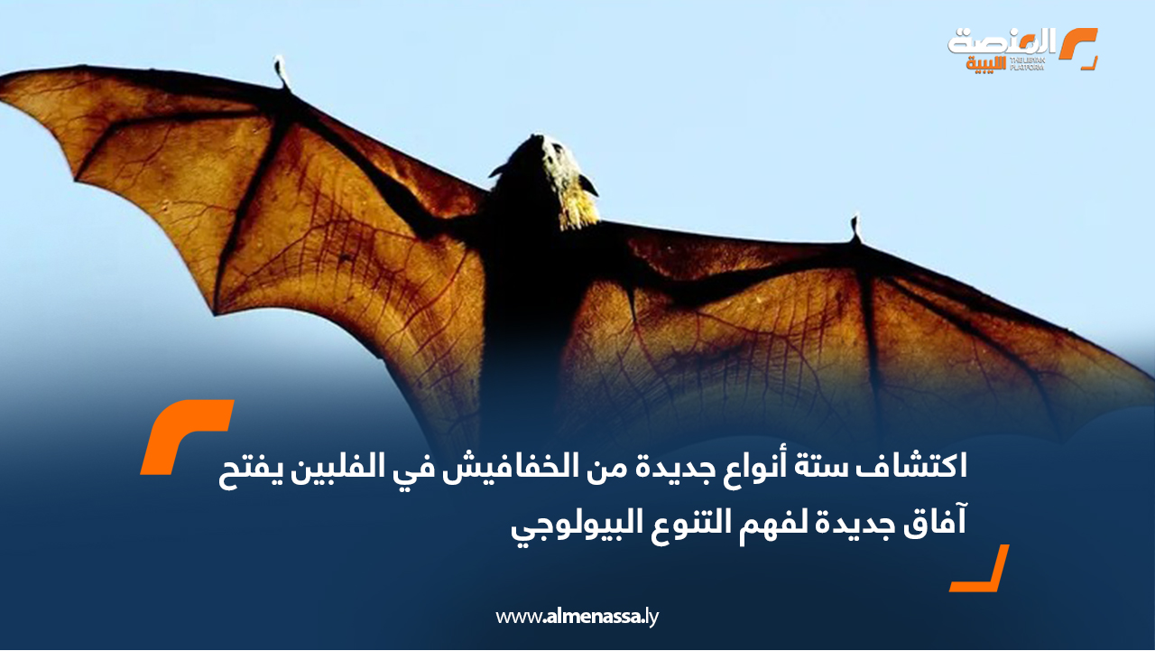 اكتشاف ستة أنواع جديدة من الخفافيش في الفلبين يفتح آفاق جديدة لفهم التنوع البيولوجي