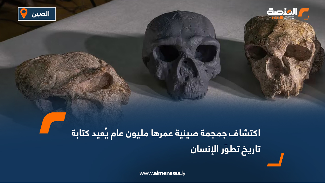 اكتشاف جمجمة صينية عمرها مليون عام يُعيد كتابة تاريخ تطوّر الإنسان