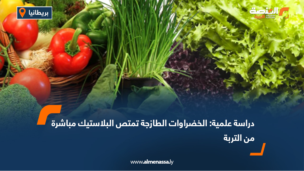 دراسة علمية: الخضراوات الطازجة تمتص البلاستيك مباشرة من التربة