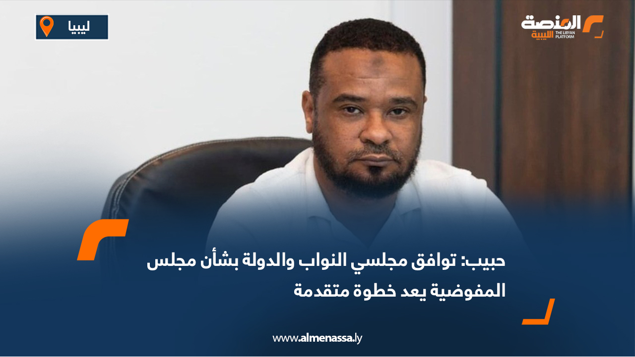 حبيب: توافق مجلسي النواب والدولة بشأن مجلس المفوضية يعد خطوة متقدمة
