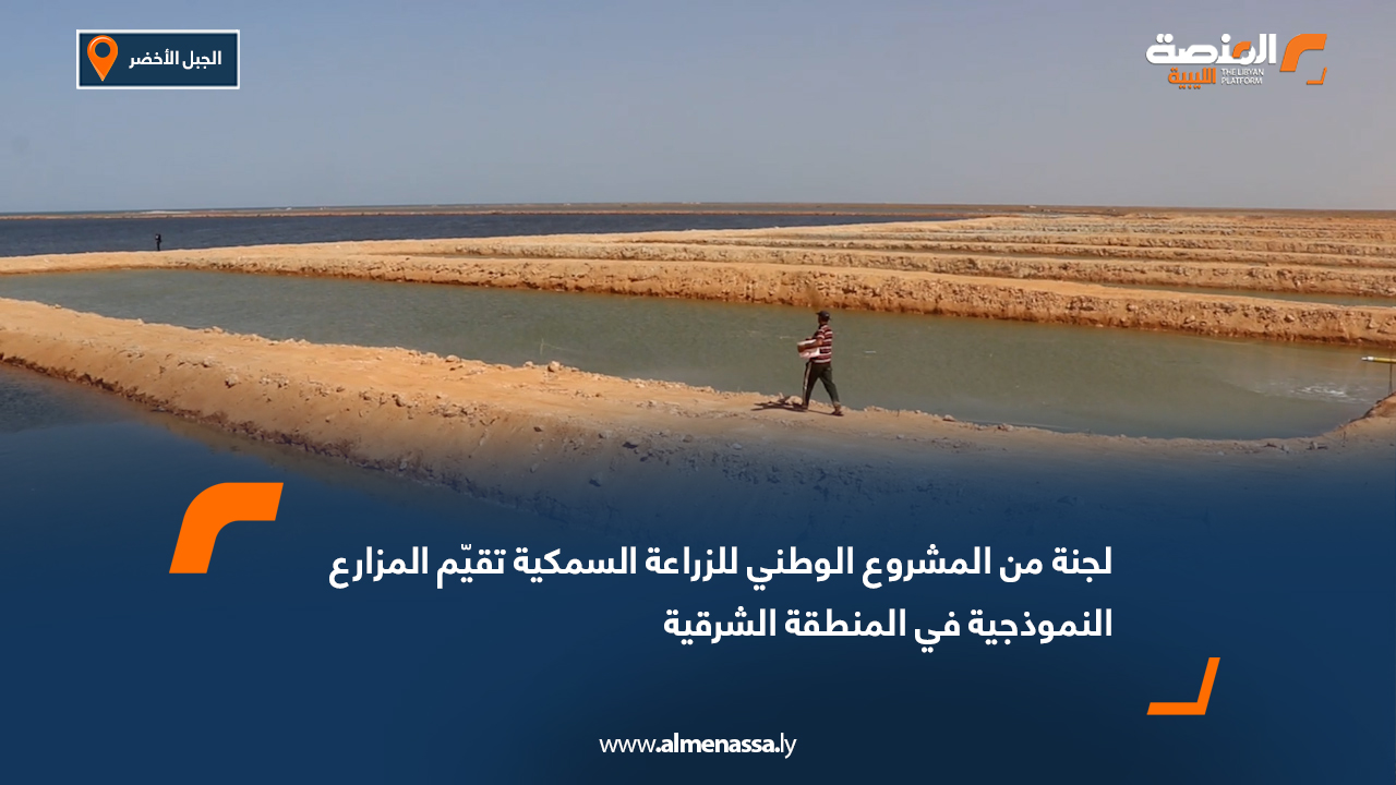 لجنة من المشروع الوطني للزراعة السمكية تقيّم المزارع النموذجية في المنطقة الشرقية