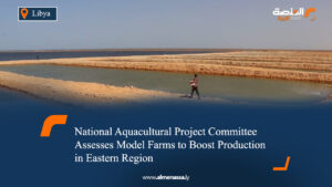 National Aquacultural Project Committee Assesses Model Farms to Boost Production in Eastern Region
