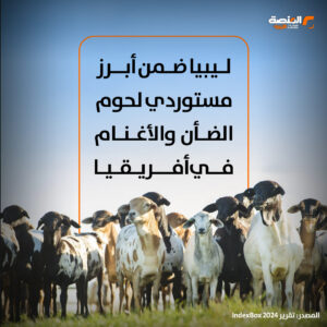 ليبيا ضمن أبرز مستوردي لحوم الضأن والأغنام في أفريقيا