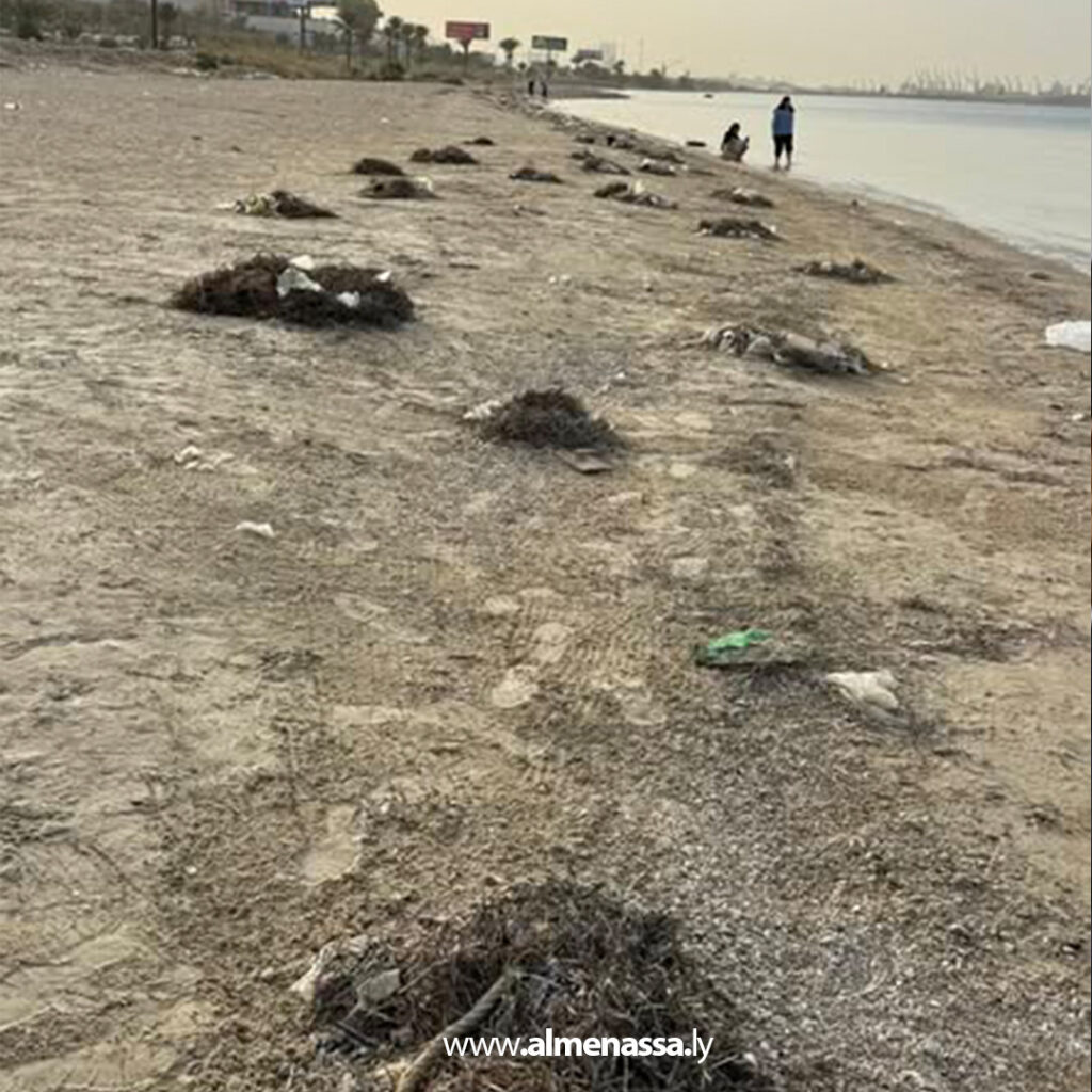 Extra 138 بمشاركة النائبة أبو راس.. حملة "خلي الباغلي يعيش مرتاح" لتنظيف الشواطئ الليبية