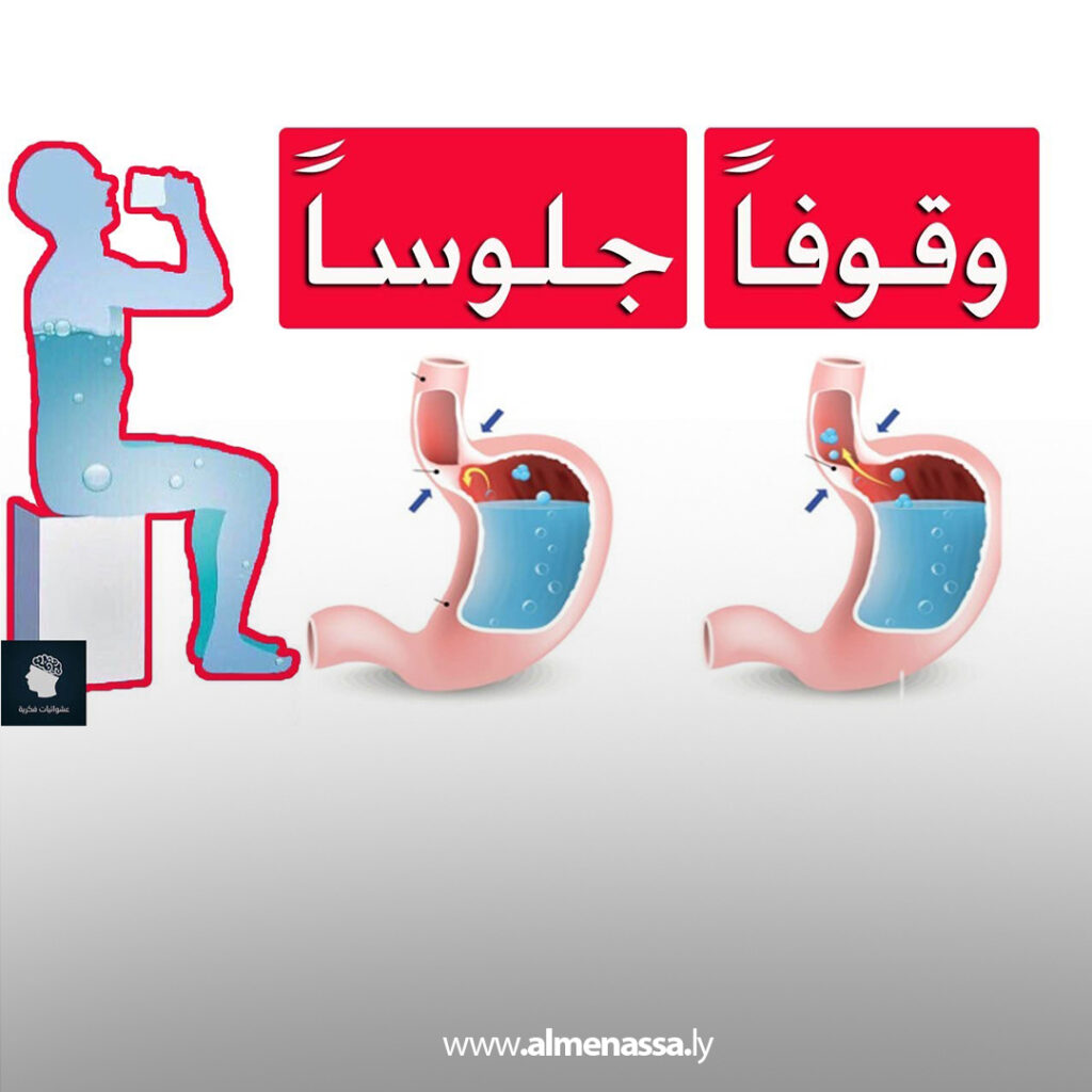 Extra 23.jpg3 23 اختصاصية تغذية تحذّر: شرب الماء واقفاً قد يسبب ارتجاع مريئي وأضرار على الكلى والمعدة