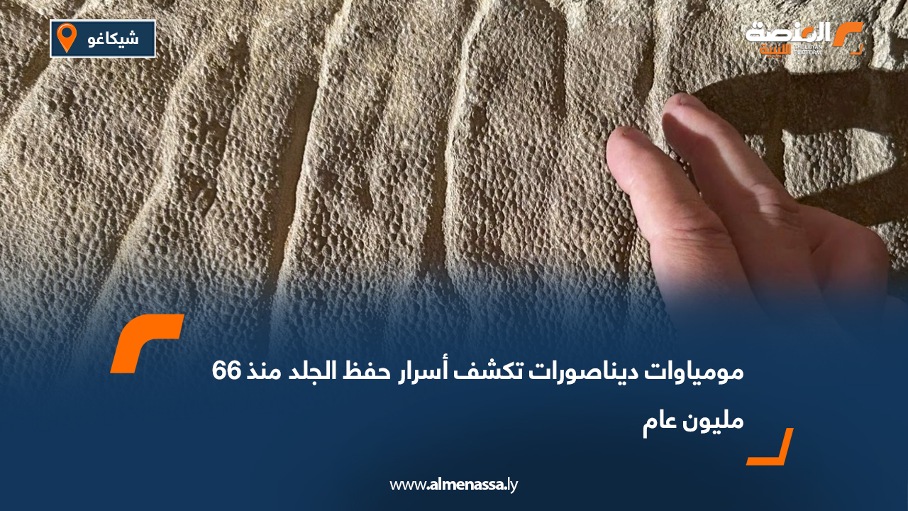 مومياوات ديناصورات تكشف أسرار حفظ الجلد منذ 66 مليون عام