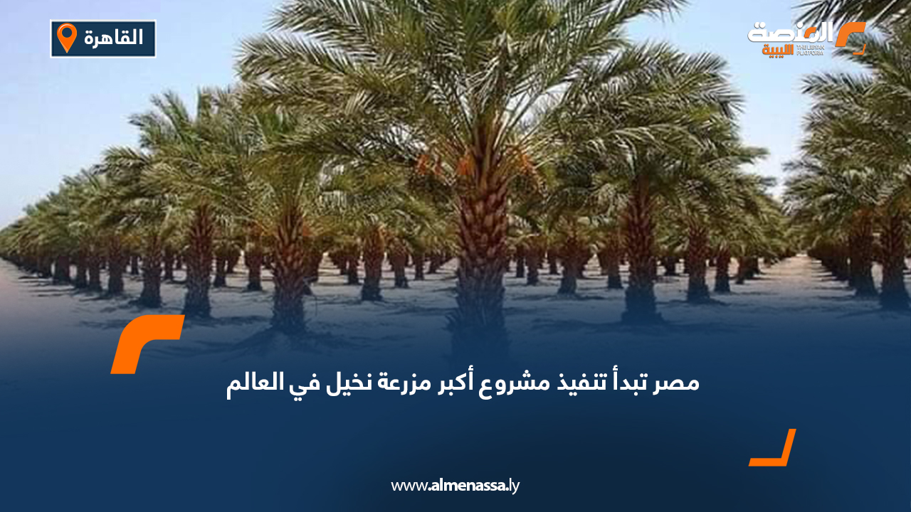 مصر تبدأ تنفيذ مشروع أكبر مزرعة نخيل في العالم