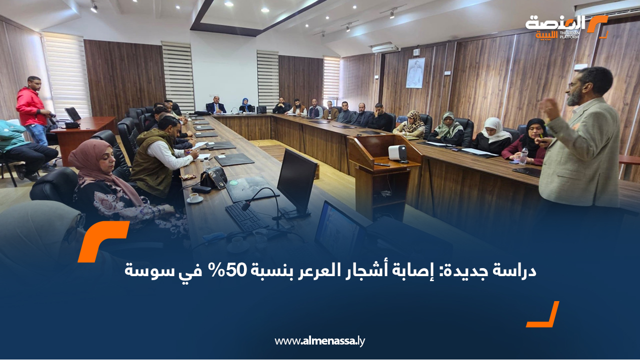 دراسة جديدة: إصابة أشجار العرعر بنسبة 50% في سوسة