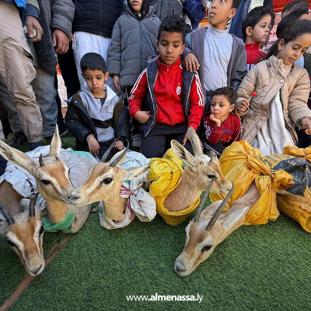 Extra 119.jpg3 119 ودان تحتفل بإطلاق قطيع غزلان جديد لدعم الحياة البرية