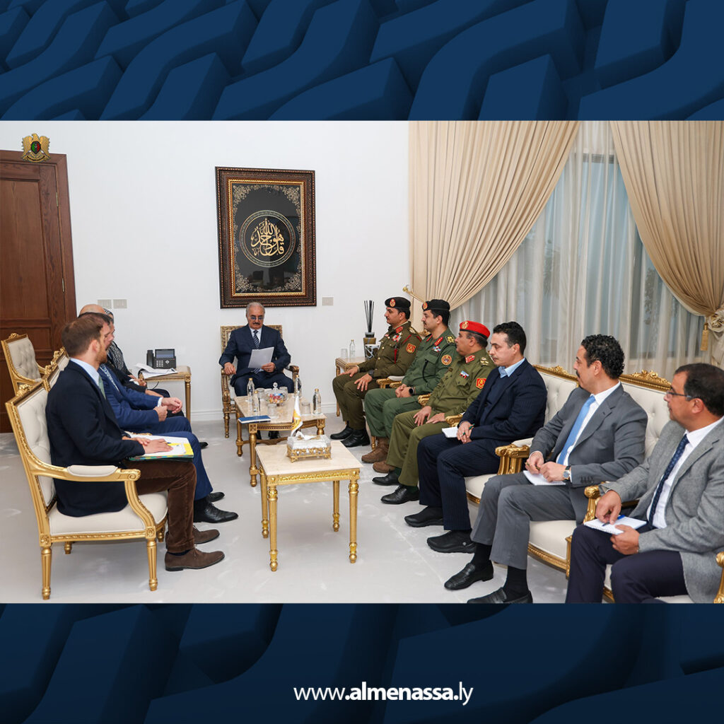 Extra 3.jpg111111111111 3 القائد العام للقوات المسلحة يستقبل وفد الاتحاد الأوروبي