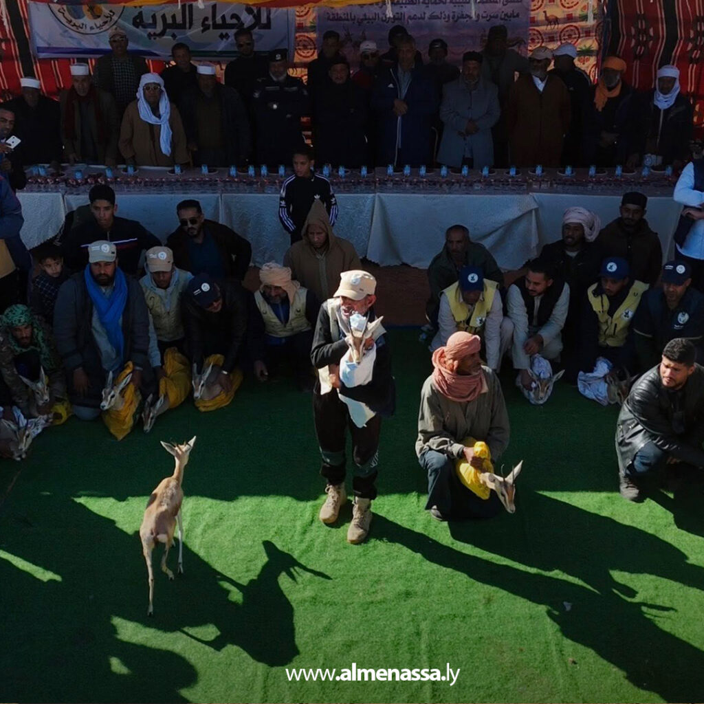 Extra 46.jpg7 46 ودان تحتفل بإطلاق قطيع غزلان جديد لدعم الحياة البرية