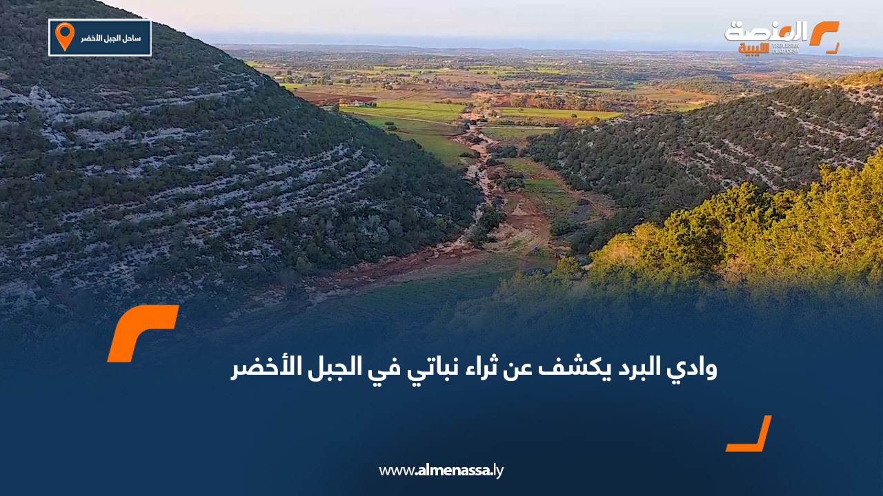 وادي البرد يكشف عن ثراء نباتي في الجبل الأخضر