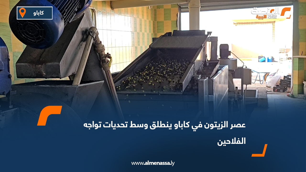 عصر الزيتون في كاباو ينطلق وسط تحديات تواجه الفلاحين