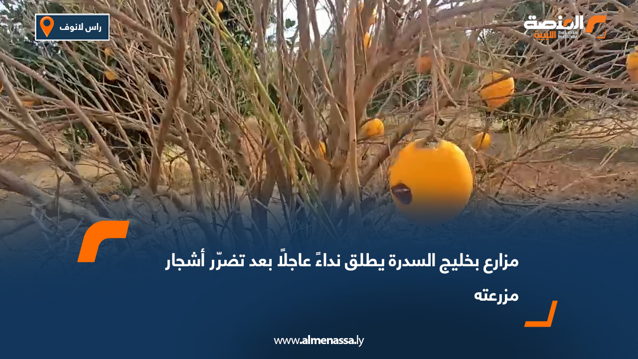 مزارع بخليج السدرة يطلق نداءً عاجلًا بعد تضرّر أشجار مزرعته