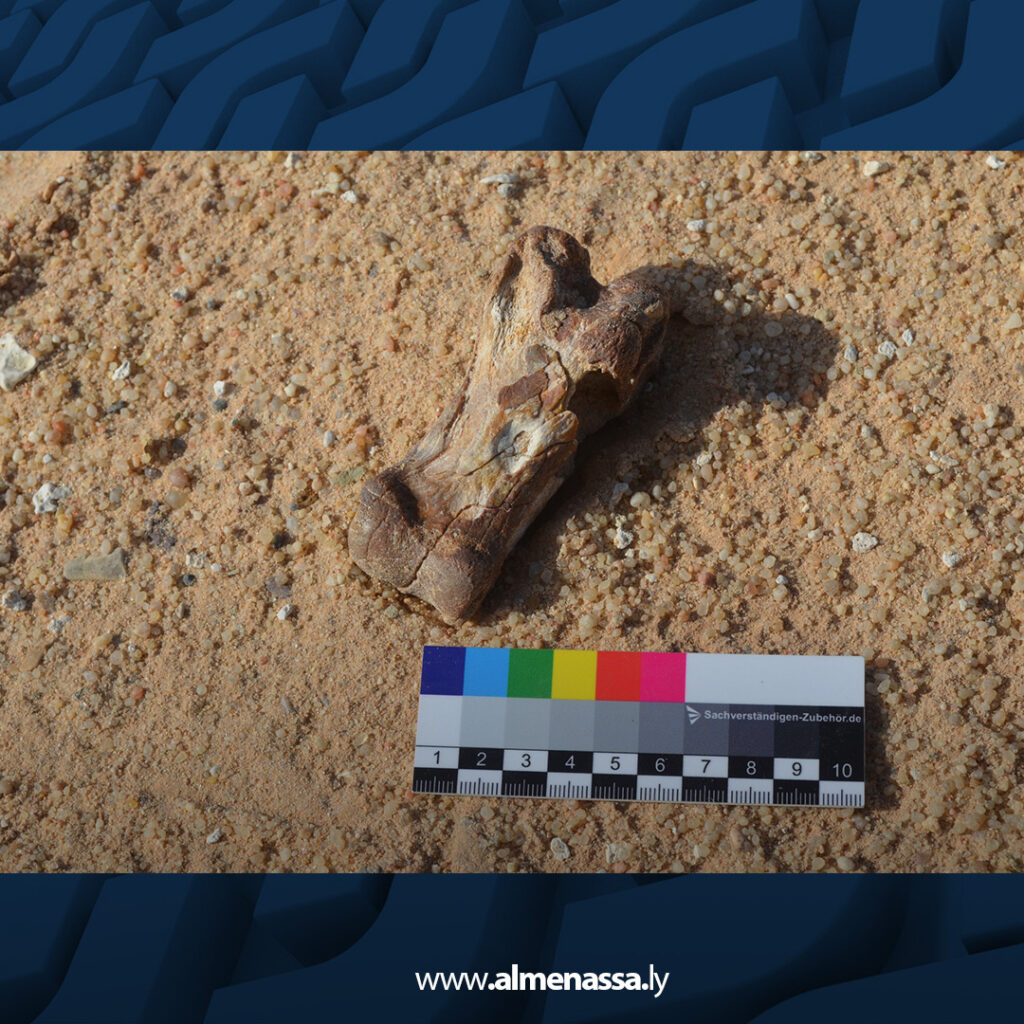 انطلاق أولى خطوات مشروع البحث "النيوجيني" في شرق ليبيا 7 extra Recovered 16.jpg8 16